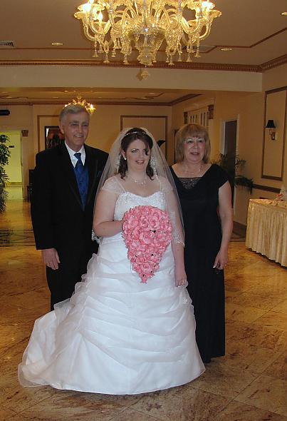 my davids bridal dress