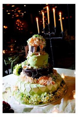 Weddingbee Gallery: Wedding Cakes! :  wedding features 807.z947998.jpg.resize