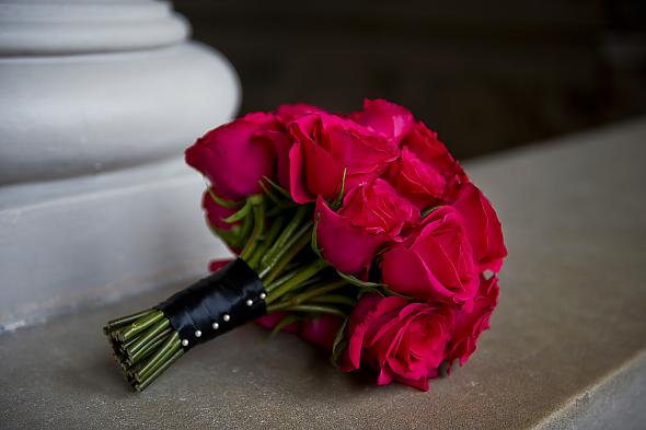 hot pink roses