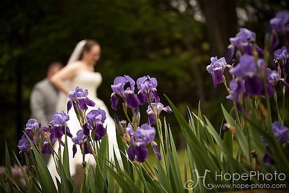 A walk in the garden
