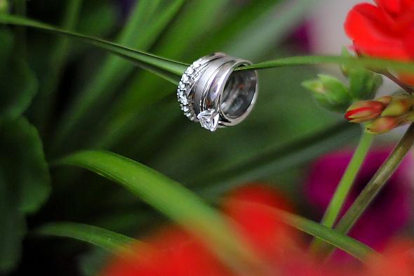 Our Wedding Bands