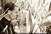 Mantilla Veil in the field